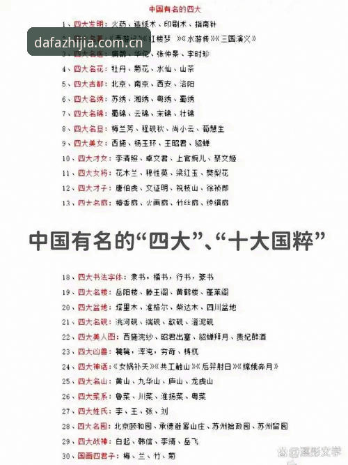 大发中国官网最新版深度分析：从安装到实战的全面指南
